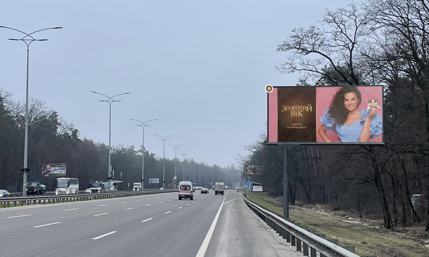 Billboard Kyiv,  Borispil's'ke sose, 21km 500m, 69 stovb na rozdil'niku, sit 4, iz Kieva