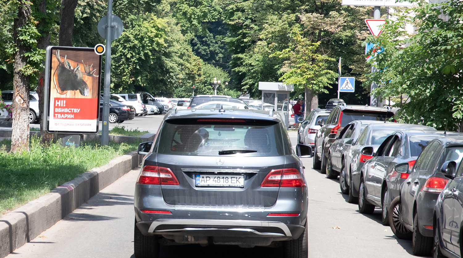 Citylight Kyiv,  Lips'ka st. rozdil'nik