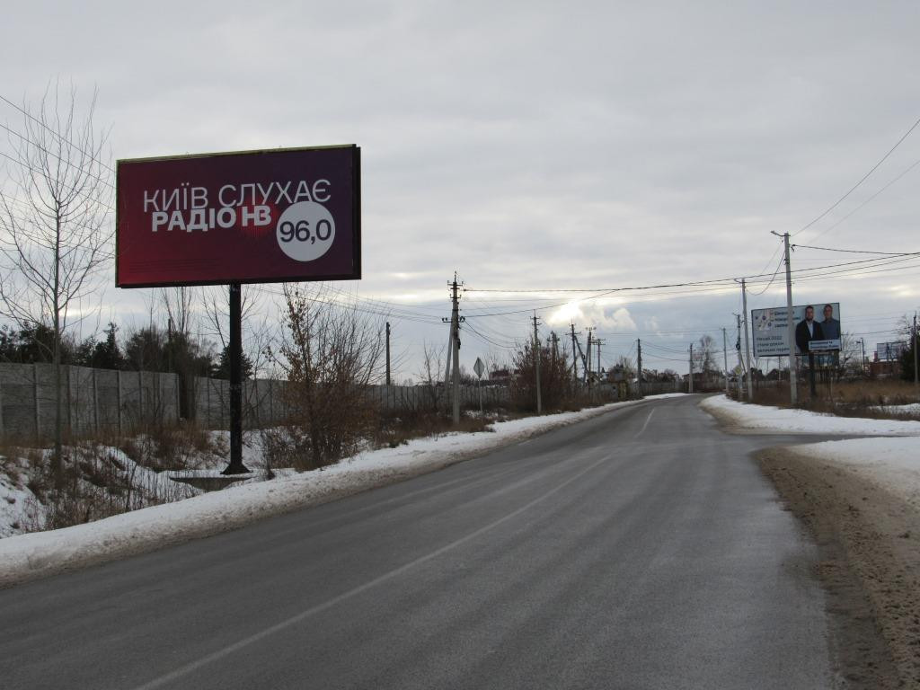 Billboard Seagulls,  с. Чайки, вул. Чайки 70м, від вул. О. Вишні в напр. автодрому Чайка