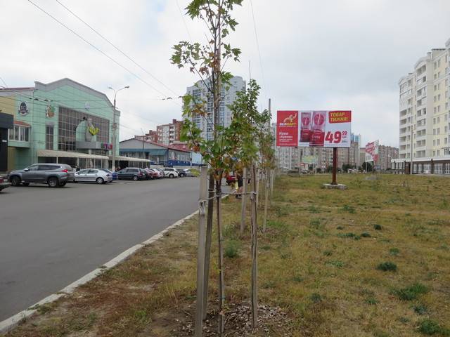 Billboard Chernihiv,  Nezaleznosti, st., 12a-A