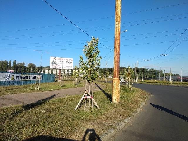 Billboard Chernihiv,  perehr st. Nezaleznosti ta st. Glibova-B