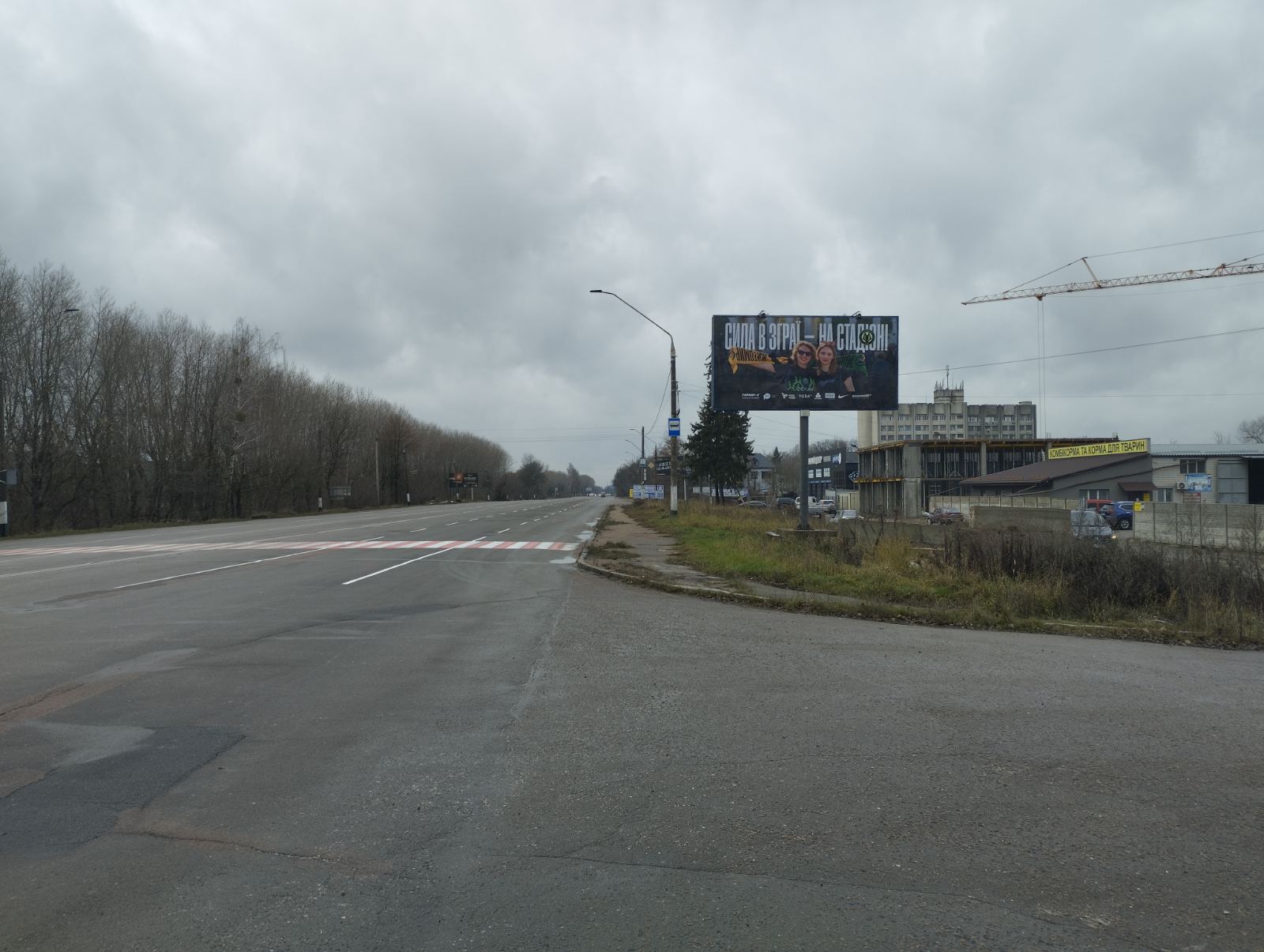 Billboard Zhytomyr,  Kiivs'ke sose, 141 (AZS "ANP", avtoservis "Deiv Express", Institut sil's'kogo gospodarstva Polissa), v napramku centra mista