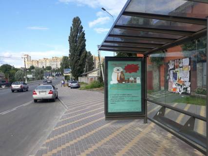Citylight A in Petropavlivska Borshchagivka s. Petropavlivs'ka Borsagivka, st. Soborna, 41 (zupinka na plosi Soborna/Ckalova) Photo 1