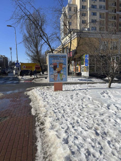 Citylight A in Vishnev g. Visnevoe,perekrestok st. Evropejskaa  magazin "Kosmo" Photo 1