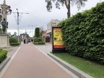 Billboard A in Irpin, 127*186  st. Sevcenka Photo 1