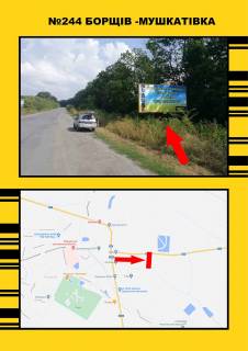 Non-Standard A in Ternopil Borsiv s.Muskativka Photo 1