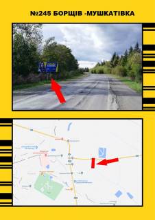Billboard B in Borshchiv Borsiv s.Muskativka Photo 1