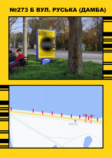 Citylight A in Ternopil, 1,2х1,8  Damba (bila ozera) Photo 1