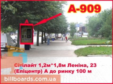 Citylight A in Berdychiv Zitomirskaa, 23 (Epicentr) Photo 1