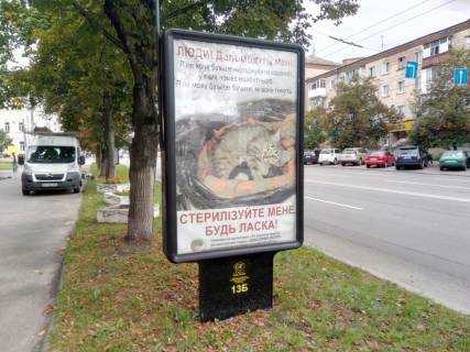 Citylight B in Chernihiv, 1,2х1,8  prospekt Pobedy, 83, mag Ananas (storona B) Photo 1