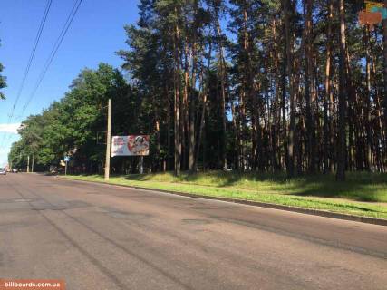 Billboard A in Chernihiv 77 Divizii st., ost Elovsina Photo 1