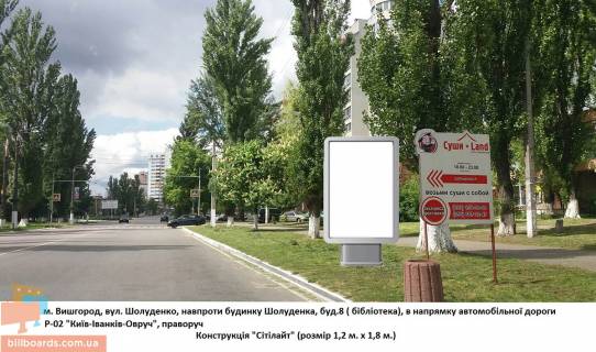 Citylight A in Vishgorod Vozle biblioteki (st. Soludenko, 8) Photo 1