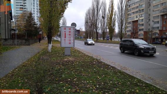 Citylight B in Vishgorod St. Soludenko, 40 m. do povorota na pr-t Mazepy Photo 1