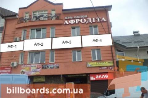Non-Standard  in Stry Afrodita 1 Photo 1