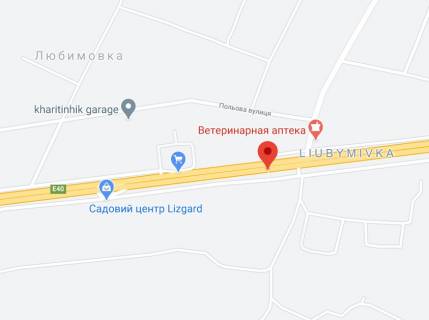 Non-Standard A in Kiev roads, 2х16  M-06 Zitomirs'ka trasa 33+020 km vid KPP. Desatij vid Kieva, s. Lubimivka, povorot na s. Buca 1, zupinka, poruc mag. Vse dla daci ta gorodu, napramok - v Kiiv scheme