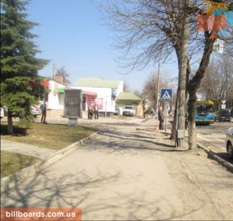 Citylight B in Lutsk Vst. Vinnicenka, 67 (bila kafe "Ulia") Photo 1