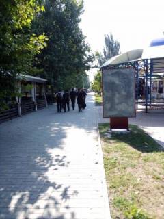 Citylight B in Berdyansk Gor'kogo st., 29 Photo 1