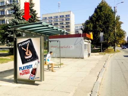 Citylight B in Lviv, 1.8x1.2  Velikogo V. st., 22 / st. Knagini Ol'gi (zupinka "Volodimira Velikogo"), v bik st. Strijs'koi Photo 1