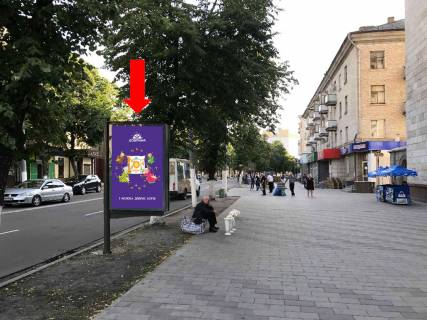 Citylight A in Zhytomyr, 1.8x1.2  Kiivs'ka st., 37 / Nebesnoi Sotni st. (kol. Moskovs'ka st.), bila CUMu, magazinu "Plato", "Vatsons" Photo 1