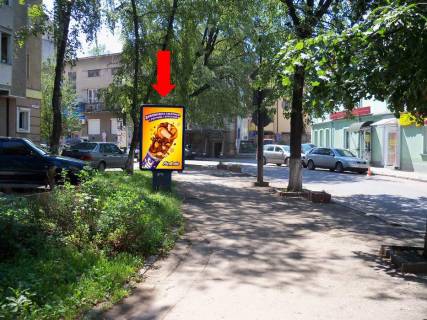 Citylight B in Ivano-Frankivsk Grusevs'kogo st., bila avtosalonu "Renault" Photo 1
