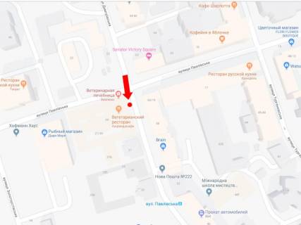 Citylight  in Kyiv, 1.8x1.2  Dmitrivs'ka st., 39 - st. Pavlovs'ka, na svitlofori, v storonu Cirku scheme