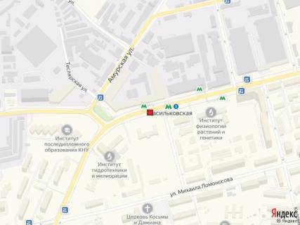 Non-Standard  in Kyiv st. Vasil'kivs'ka, 35 scheme