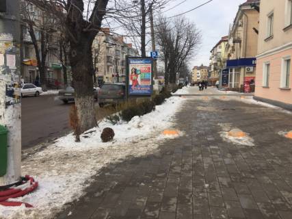 Citylight + in Zhytomyr st.Teatral'na-st.Kiivs'ka (Bank PUMB)  st.A Photo 1