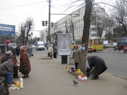 Citylight + in Zhytomyr st. Berdicivs'ka (zupinka Dovzenko, market Kvartal) st.B Photo 1