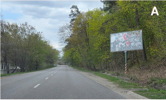 Billboard A in Kropyvnytskyi (Kirovograd) Траса Р10, с. Будище Photo 1