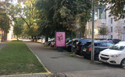 Citylight B in Kyiv, 1,2х1,8  Lips'ka st.,/Instituts'ka, st. Photo 1