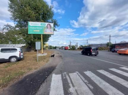 Billboard B in Vita-Poshtova, Board 3x6м  вул. Шевченка/ вул. Матросова, виїзд із Боярки в сторону с. Віта-Поштова Photo 1