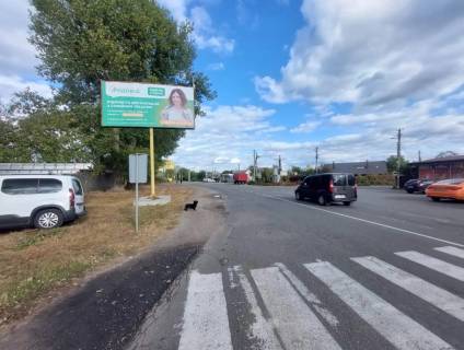Billboard B in Boyarka is old, Board 3x6м  вул. Шевченка/ вул. Матросова, виїзд із Боярки в сторону с. Віта-Поштова Photo 1