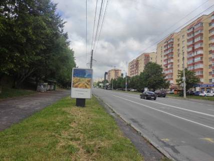 Citylight B in Khmelnitsky st.Panasa Mirnogo,25 (pisohidnij perehid do TC Agora) Photo 1