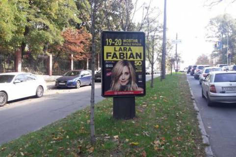 Citylight A in Vasylivka, 1.2x1.8  L'va Tolstogo st., 21 rozpodiluvac No3 (v napravl. pl.L'va Tolstogo) Photo 1