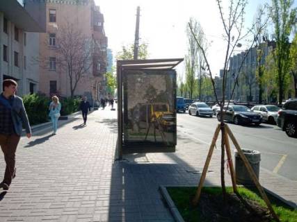 Citylight B in Vasylivka, 1.2x1.8  Sevcenka Tarasa bul'v., 50, zup. "Budinok Narodnoi Tvorcosti" (1) Photo 1