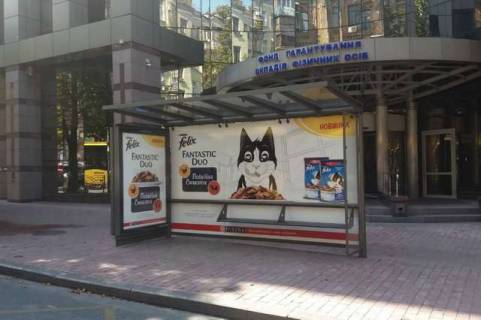 Billboard A in Vasylivka, Нестандарт  Sicovih stril'civ st., 17 (brenduvanna) Photo 1