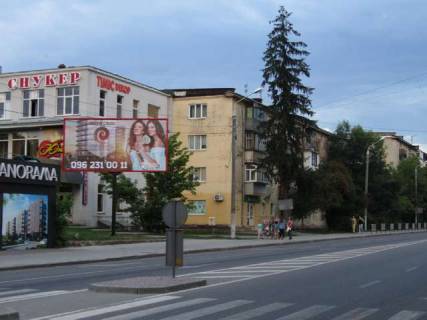 Billboard B in Vasylivka Pasicna st., 43 Photo 1
