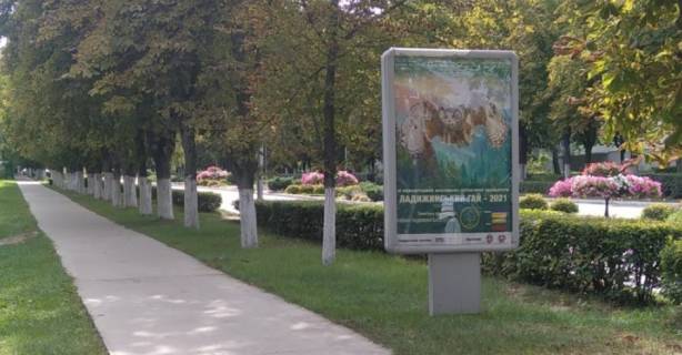 Citylight A in Ladizhin st.Budivel'nikiv  bila dendroparku "Ladizins'kij gaj" Photo 1