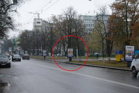 Citylight A in Poltava, 1,2х1,8  st. Sobornosti, 45(R9) (Poltavs'ka oblasna derzavna administracia) Photo 1