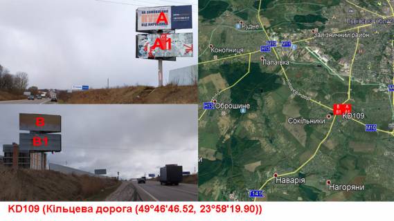 Billboard B in Sokilniki М -10-01 Західний. обхід м. Львова км. 12+200 ліворуч Photo 1