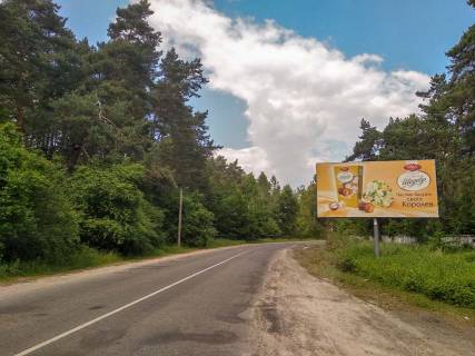 Billboard A in Bryukhovichi, 3х6  st. L'vivs'ka Photo 1