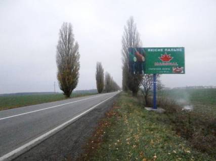 Billboard A in Pereyaslav (Pereyaslav-Khmelnitsky), 6х3  Cerkas'ka trasa, trasa N-08 "Borispil'-Dnipro-Zaporizza", km 45+820 livo, ob'izd m. Pereaslav-Hmel'nickij, za 1,3km do AZS "BRSM" Photo 1