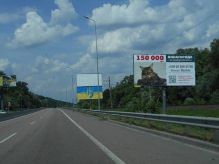 Billboard A in Foresters, 6х3  Дніпровське шосе, траса Н-01 "Київ-Знам'янка", км 20+400 ліво, через 400м після повороту на с. Лісники Photo 1