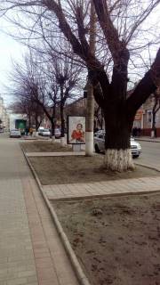 Citylight B in Kropyvnytskyi (Kirovograd), 1,2х1,8  st. Velika Perspektivna  Photo 1